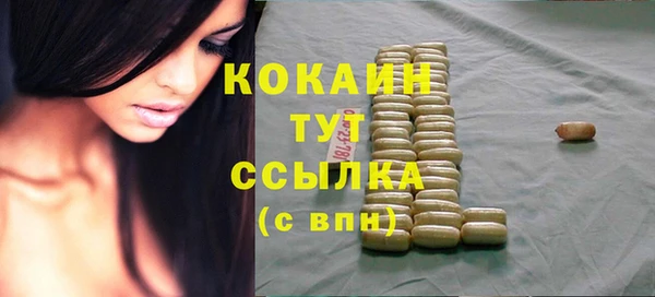 трава Белокуриха