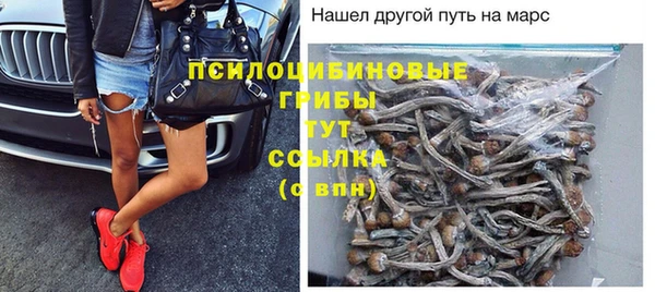 спиды Богородск