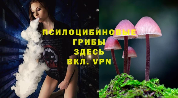 каннабис Богородицк