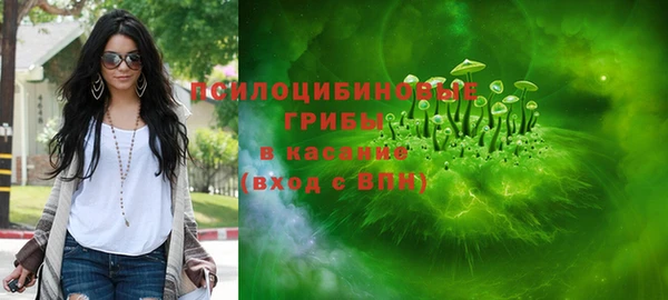трава Белокуриха