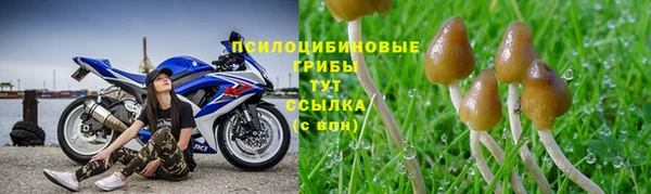 спиды Богородск