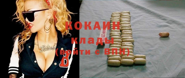 метадон Богданович